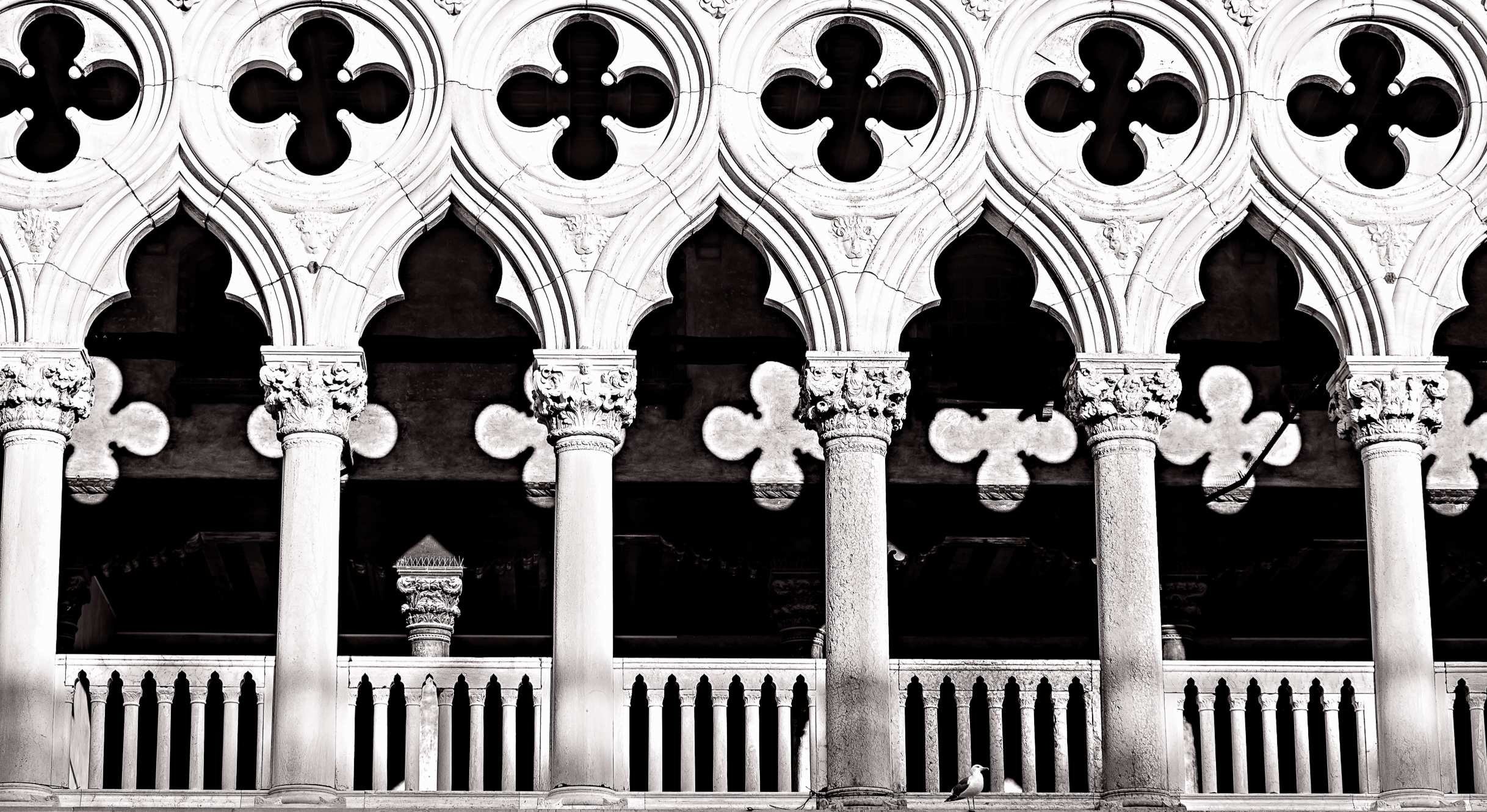 Venice 2024 — photo 061